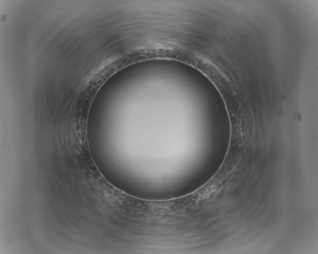 X0000072550870200607141250