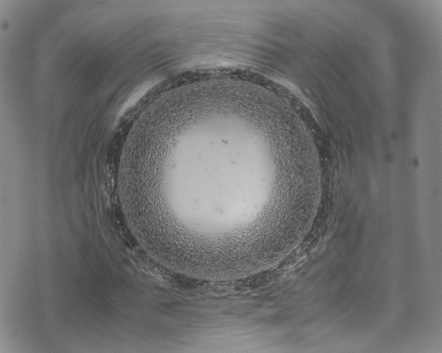 X0000072550871200607141250