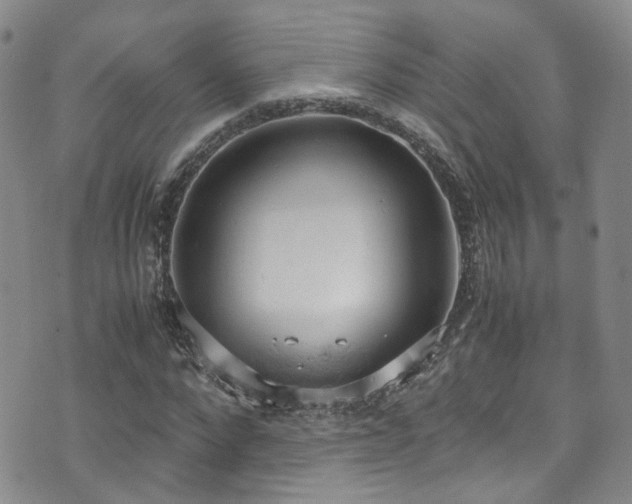 X0000072550872200607141250