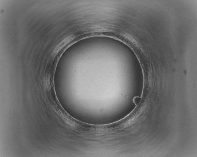 X0000072550873200607141250