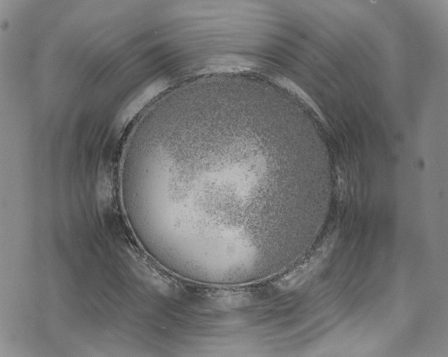 X0000072550874200607141250