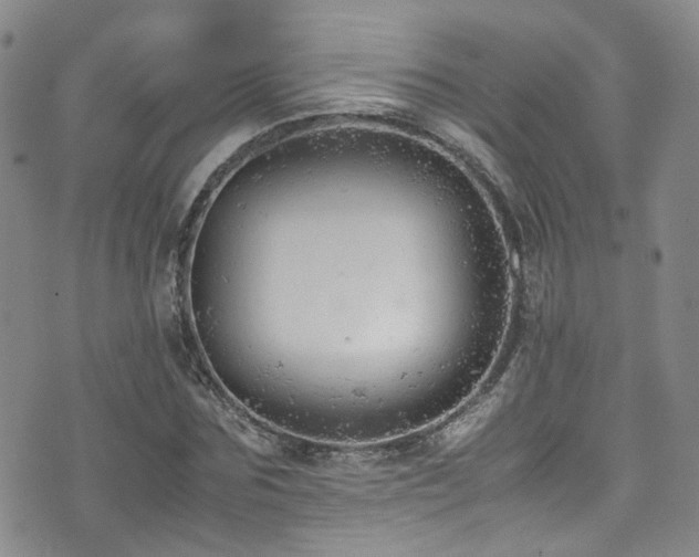 X0000072550875200607141250