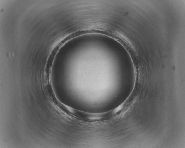 X0000072550876200607141250