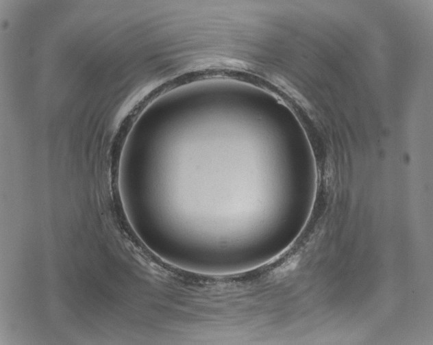 X0000072550877200607141250