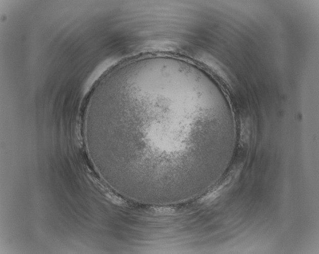 X0000072550878200607141250