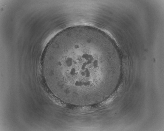 X0000072550879200607141250