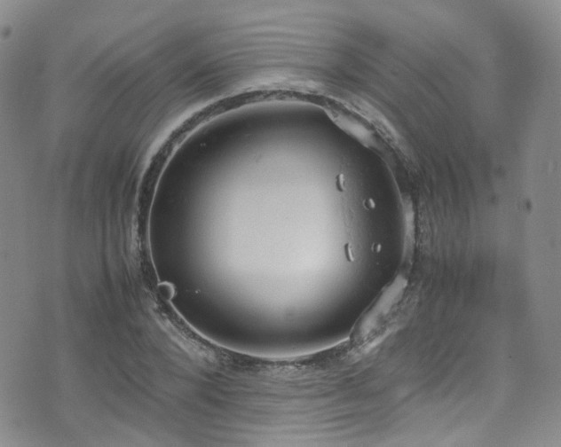 X0000072550880200607141250