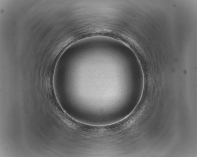 X0000072550881200607141250