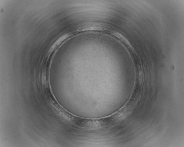 X0000072550882200607141250