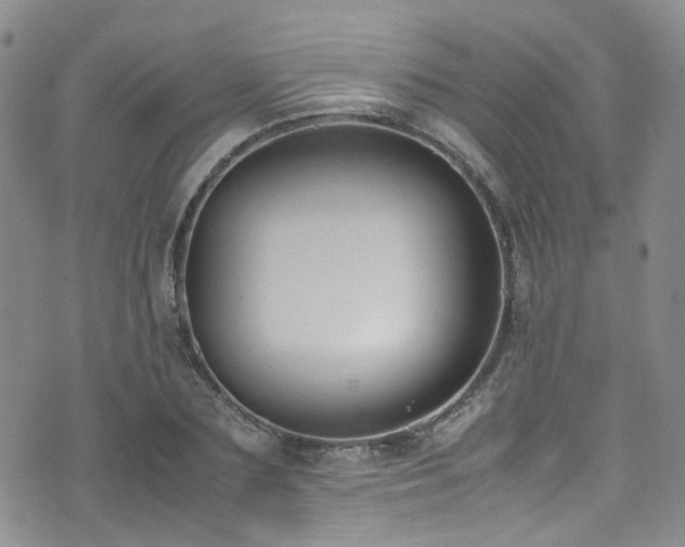 X0000072550883200607141250