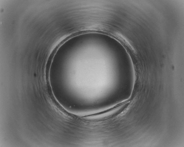 X0000072550884200607141250