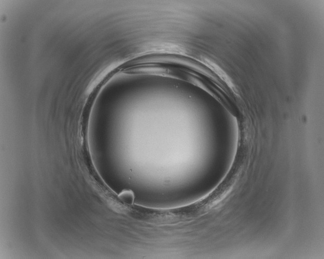 X0000072550885200607141250