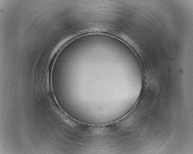 X0000072550886200607141250