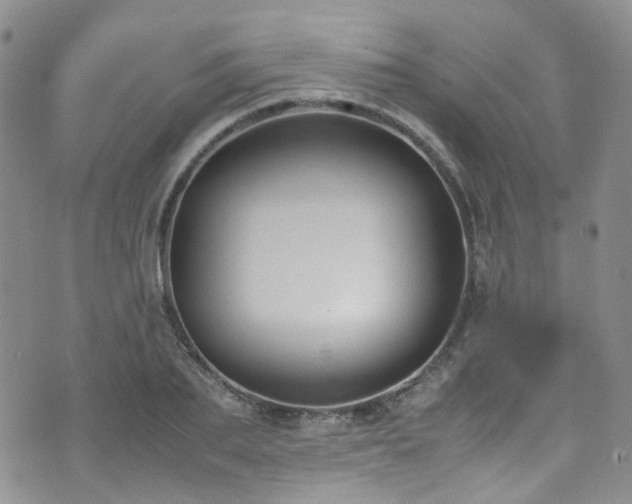 X0000072550887200607141250