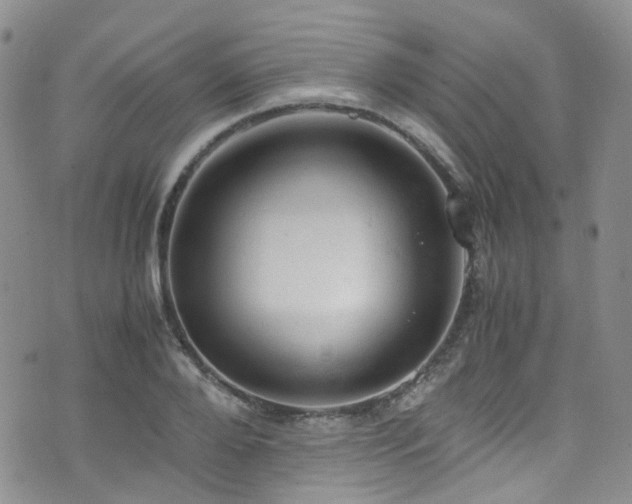 X0000072550888200607141250