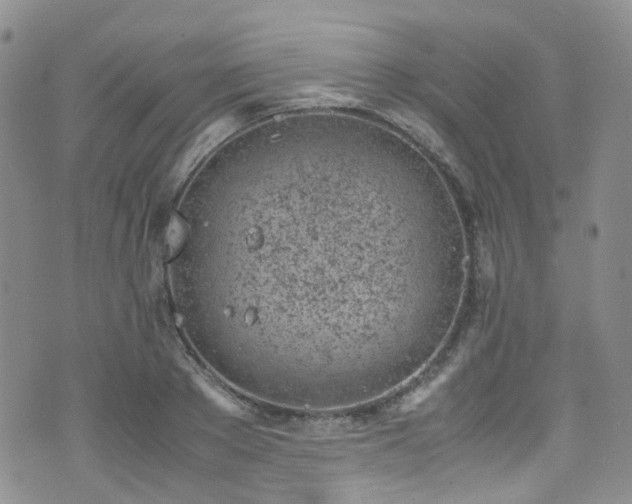 X0000072550889200607141250