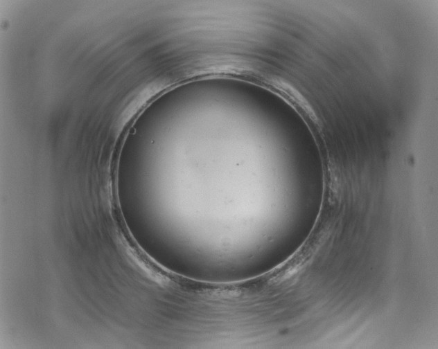 X0000072550890200607141250