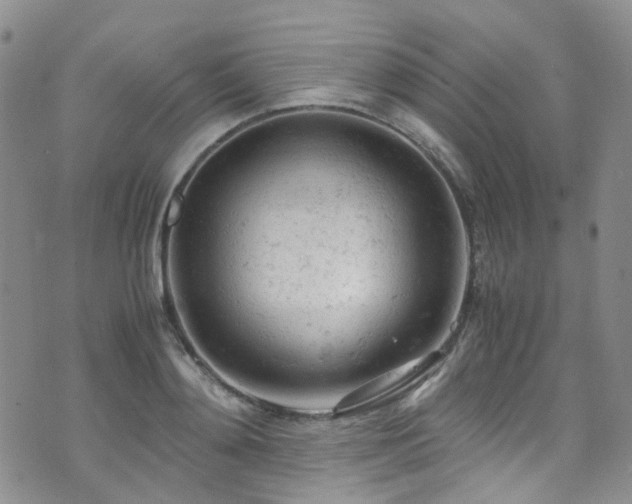 X0000072550892200607141250