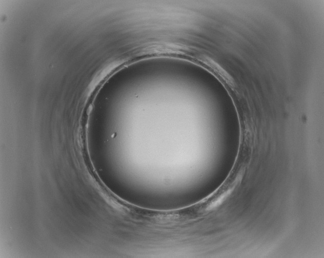 X0000072550893200607141250