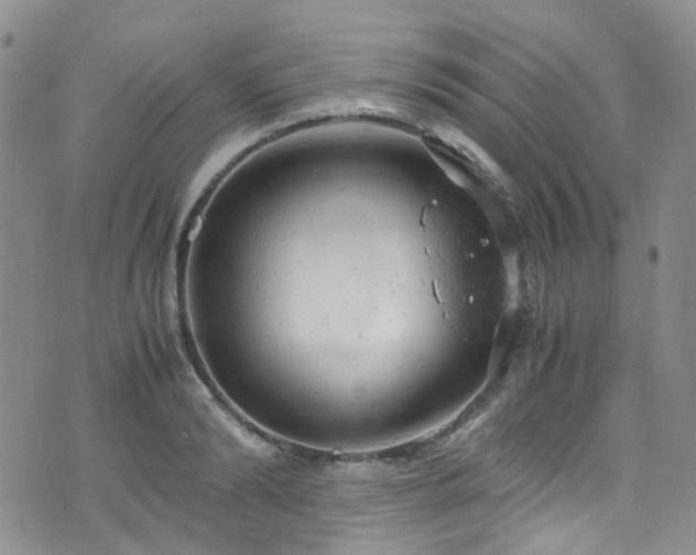 X0000072550894200607141250