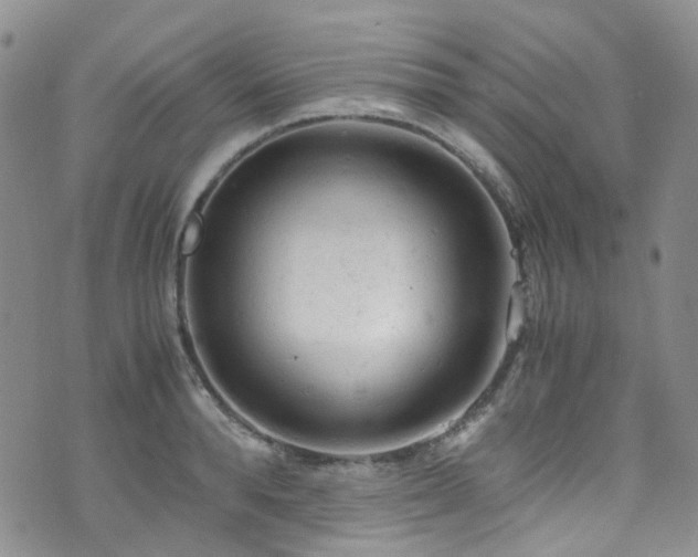 X0000072550896200607141250