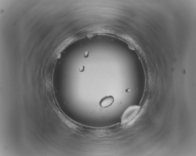 X0000072550897200607141250