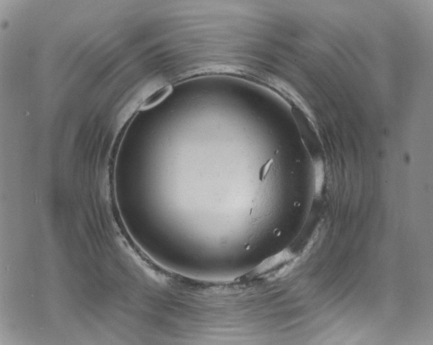 X0000072550898200607141250