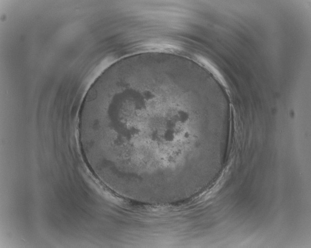 X0000072550899200607141250