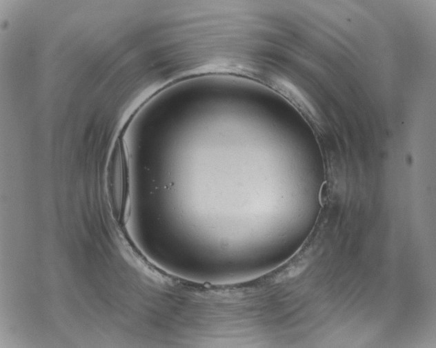 X0000072550900200607141249