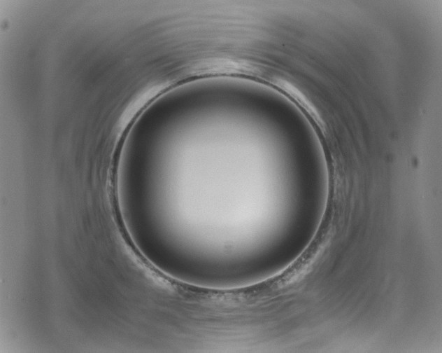 X0000072550901200607141249