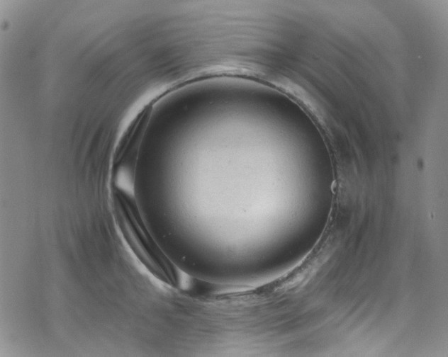 X0000072550902200607141249