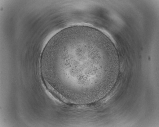 X0000072550903200607141249