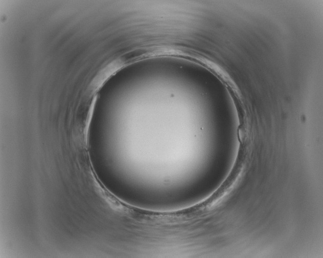 X0000072550905200607141249