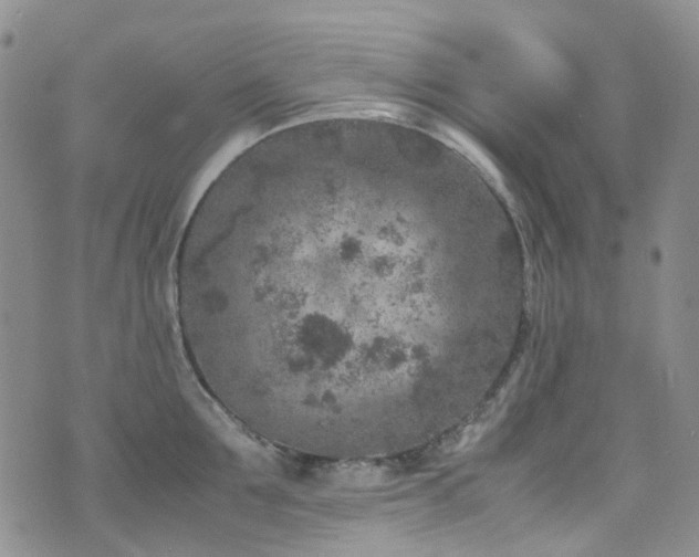 X0000072550907200607141249