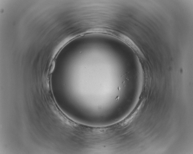 X0000072550908200607141249