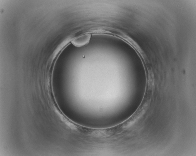 X0000072550909200607141249