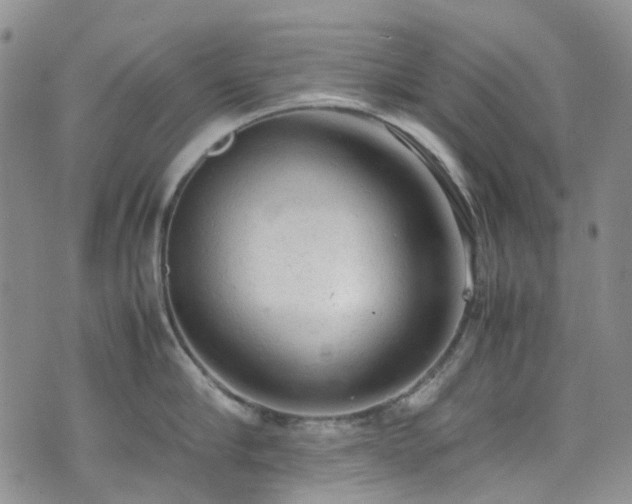 X0000072550910200607141249