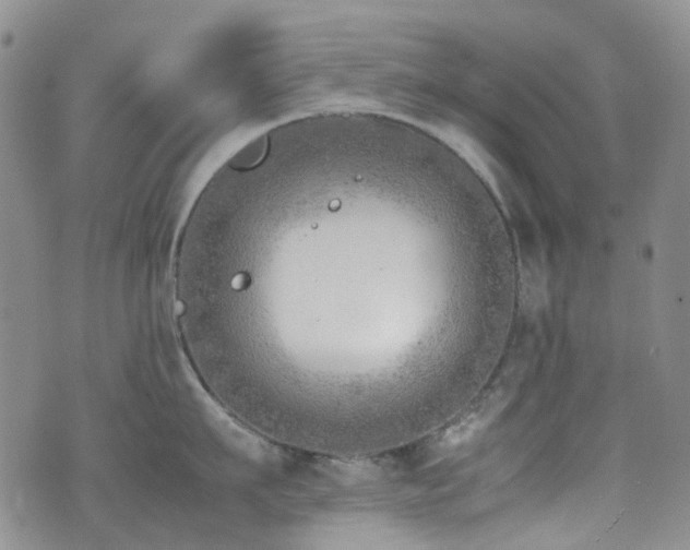 X0000072550911200607141249