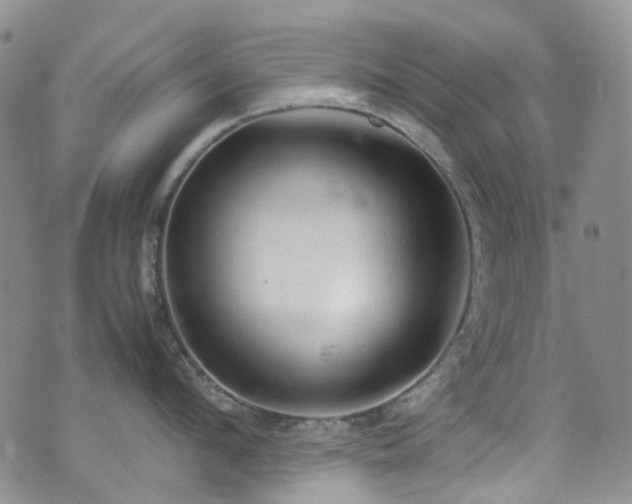 X0000072550912200607141249