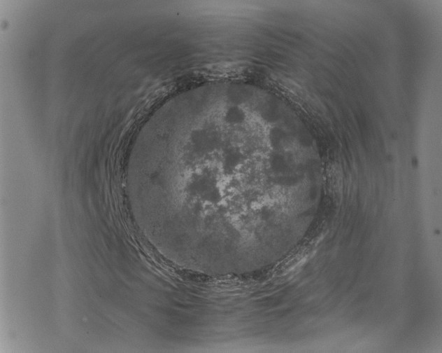 X0000072550913200607141249