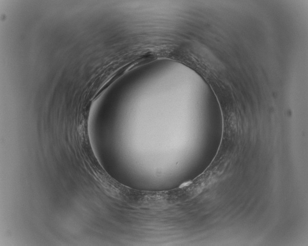 X0000072550914200607141249