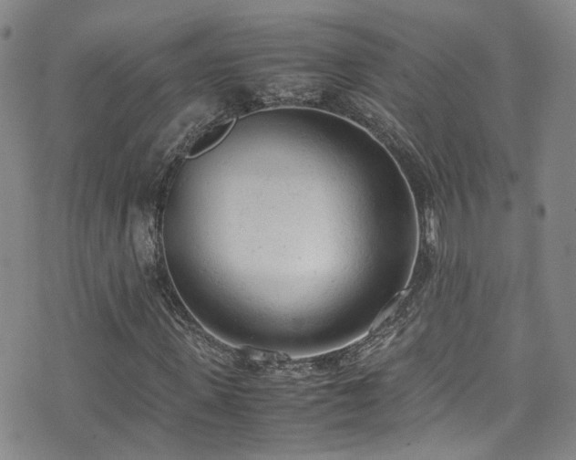 X0000072550915200607141249