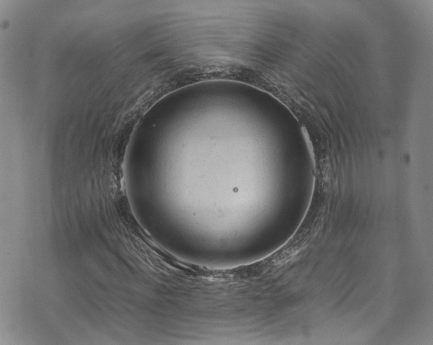 X0000072550916200607141249