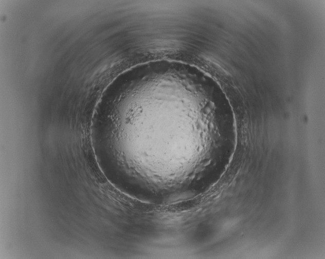 X0000072550917200607141249