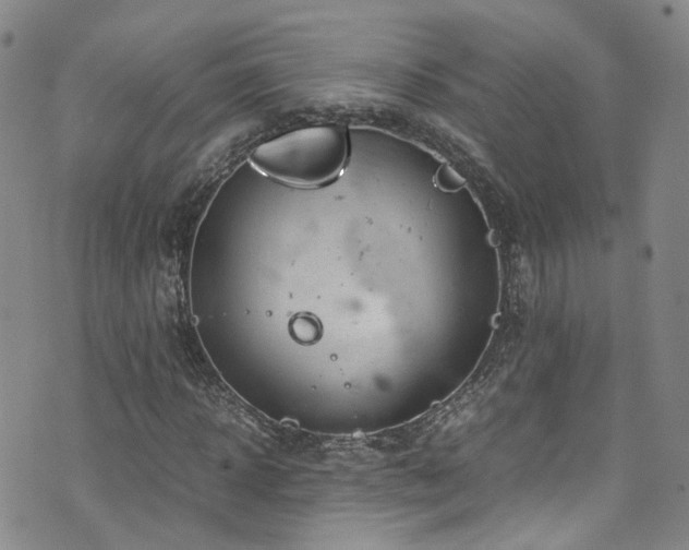 X0000072550918200607141249