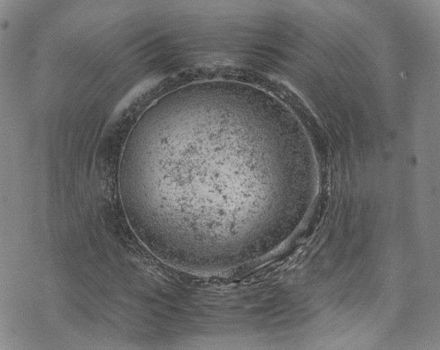 X0000072550919200607141249