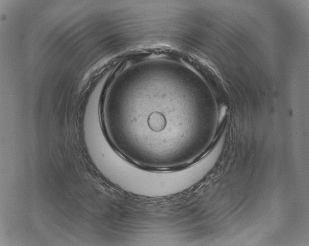 X0000072550920200607141249