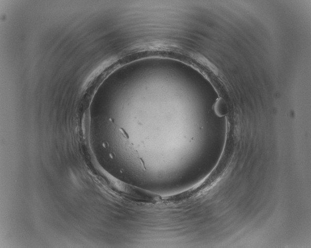 X0000072550922200607141249