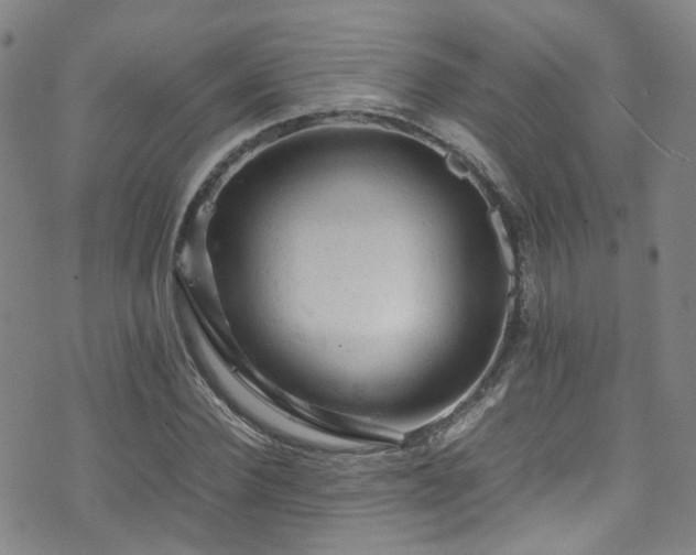 X0000072550924200607141249