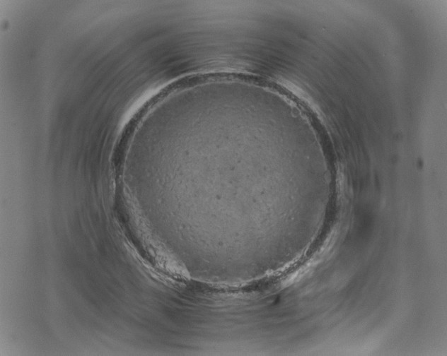 X0000072550925200607141249